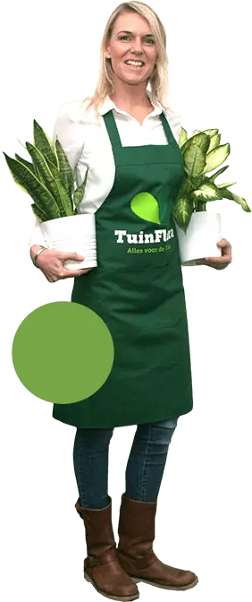 havecenter kundeservicepige